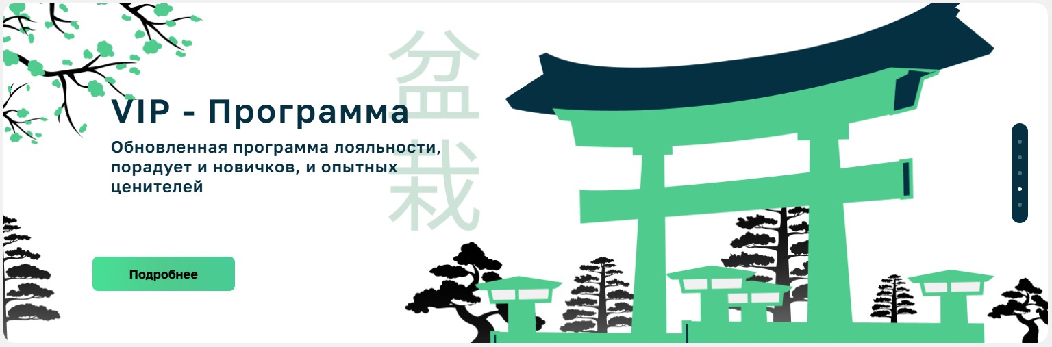 Бонсай Казино рабочее зеркало